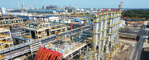 SBC plant.jpg