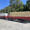 SEBS YH-502T