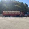 SEPS YH-4051
